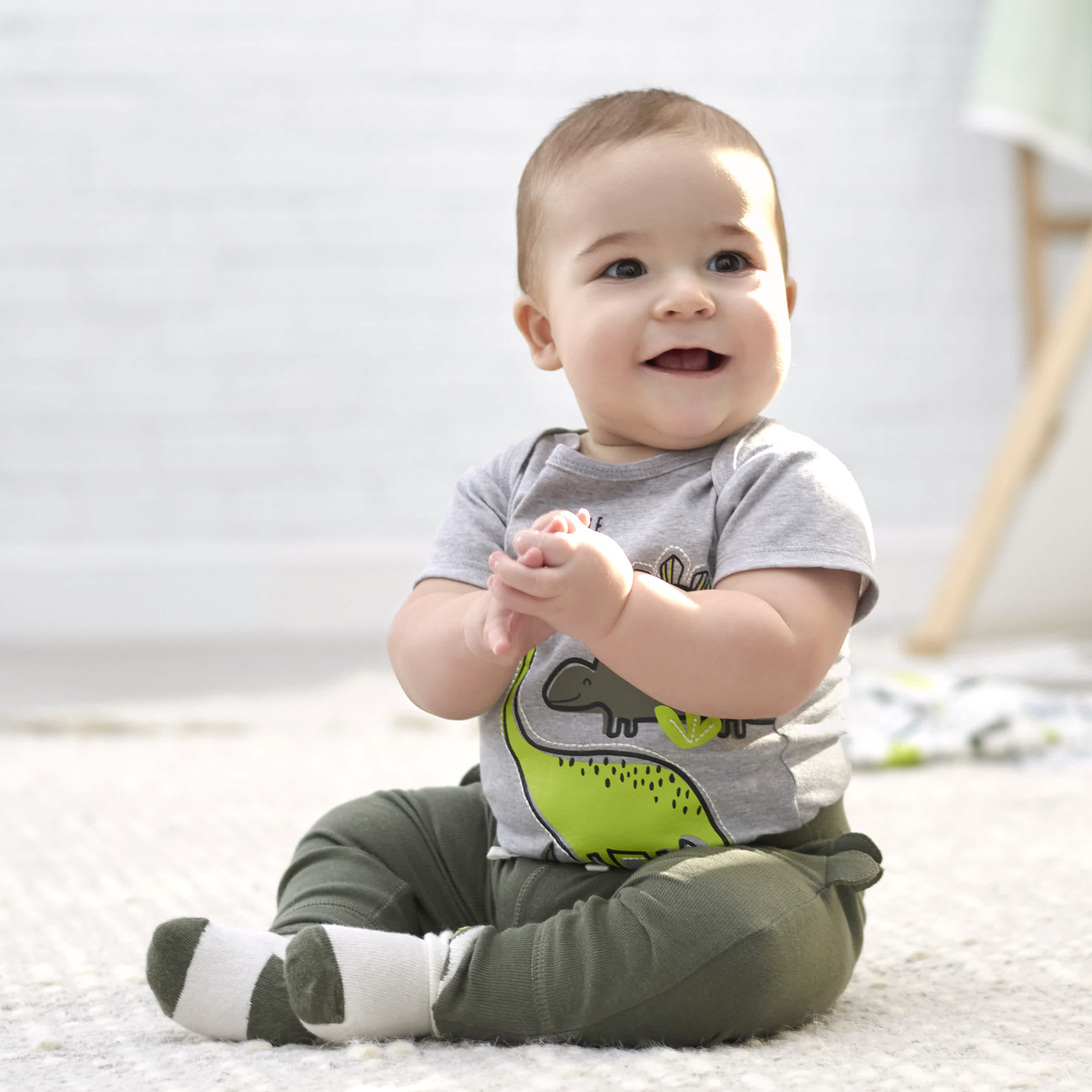 2-Pack Baby Boys Dinosaur Organic Pants