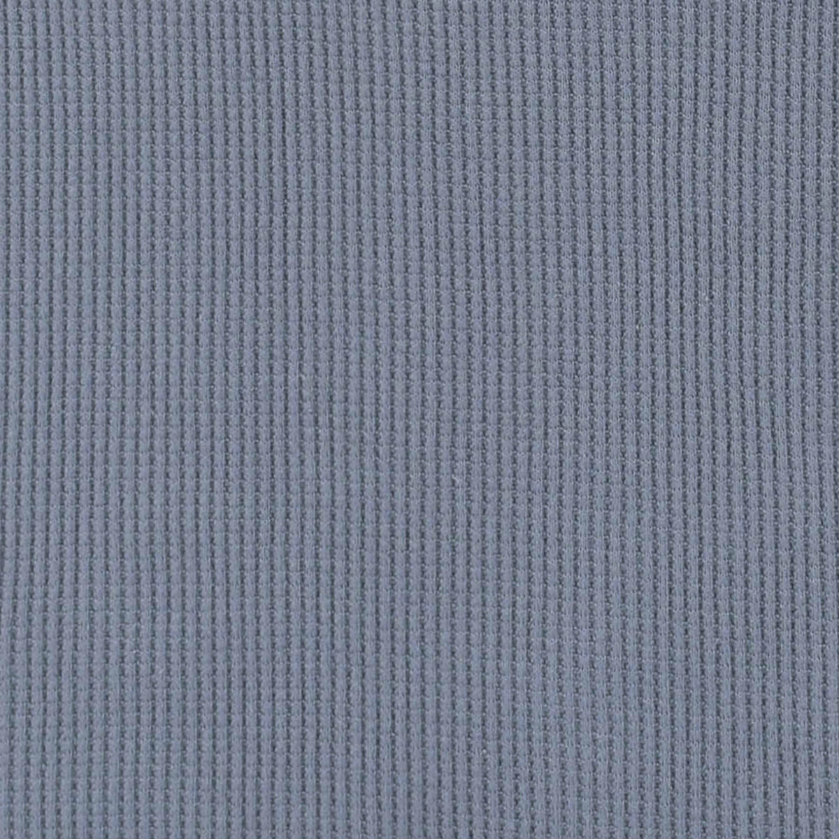 2-Pack Infant & Toddler Boys Dusty Blue & Navy Waffle Knit Henleys